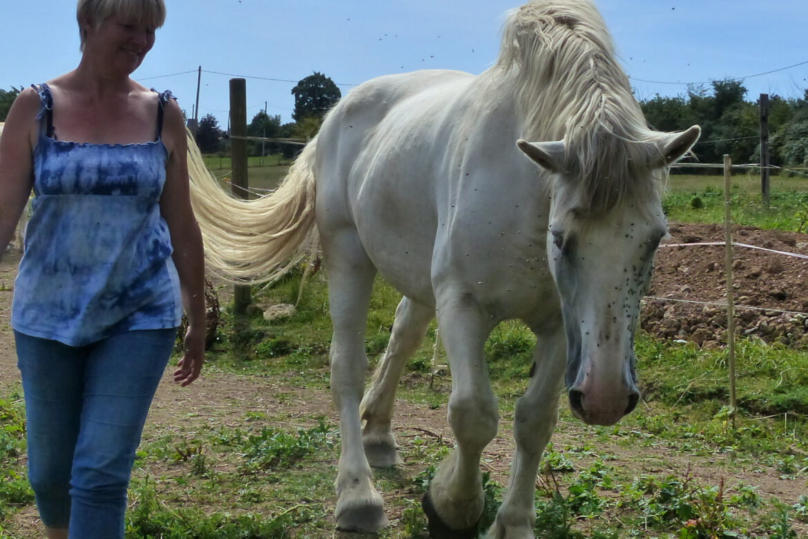 caroline 16 juin 2018