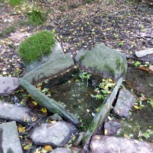 broceliande-source-sacree-web broceliande-source-sacree-web