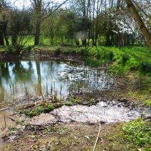 etang-evrecy-1-web etang-evrecy-1-web