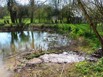 etang-evrecy-1-web etang-evrecy-1-web