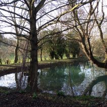 etang-evrecy-hiver-1-web etang-evrecy-hiver-1-web