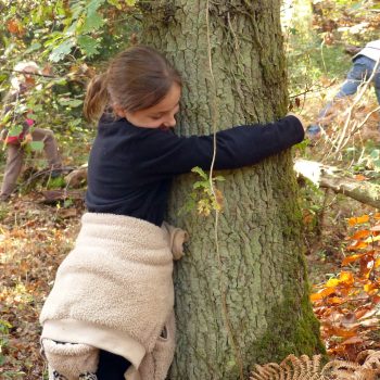 loraline-calin-arbre-web loraline-calin-arbre-web
