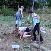 maxime-loraline-te-caro-travaux-cloture-web maxime-loraline-te-caro-travaux-cloture-web