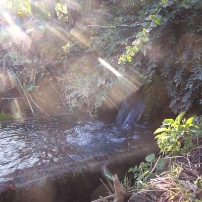 source-etang-evrecy-1-web source-etang-evrecy-1-web