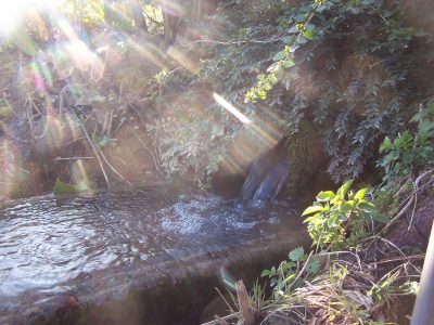 source-etang-evrecy-1-web source-etang-evrecy-1-web