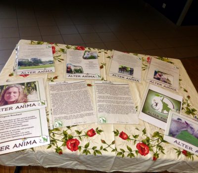 table-presentation-alter-anima-web table-presentation-alter-anima-web