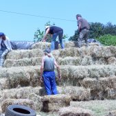 travaux-foin-web travaux-foin-web