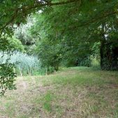 zone-etang-1-web zone-etang-1-web