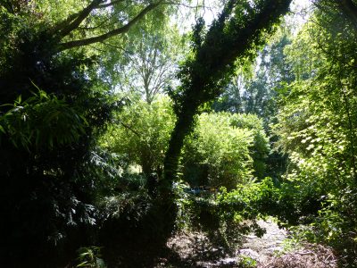 sieste-pleine-nature-web sieste-pleine-nature-web